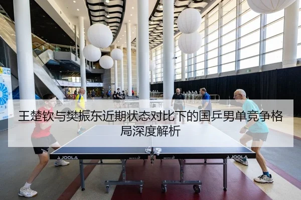 王楚钦与樊振东近期状态对比下的国乒男单竞争格局深度解析