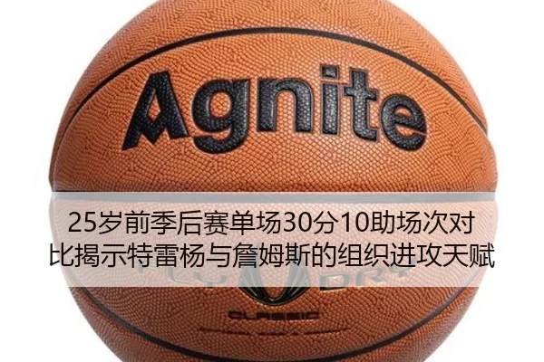 25岁前季后赛单场30分10助场次对比揭示特雷杨与詹姆斯的组织进攻天赋